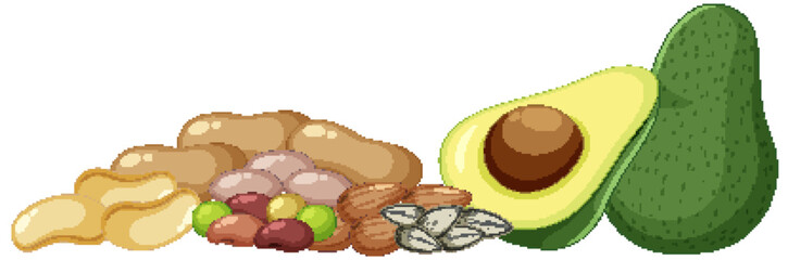 Vector of Vitamin E Rich Foods