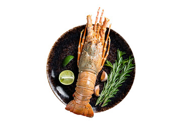Gourmet dinner with Spiny lobster or sea crayfish on a plate.  Isolated, transparent background.