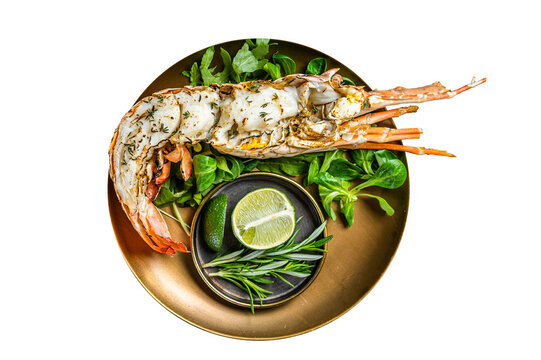 Grilled Spiny lobster with salad on a plate.  Isolated, transparent background.