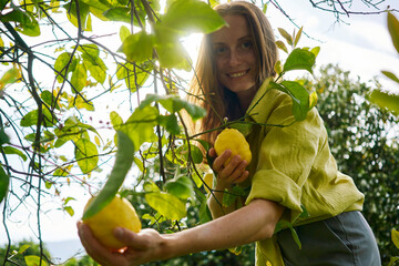 Smiling woman near lemon tree at orchard