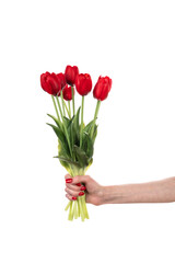 Woman holding beautiful spring tulips on white background. Flowers isolated on white background.