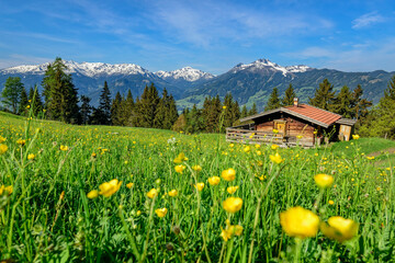 Austria, Tyrol, Summer meadow at Wiedersberger Horn with hut in background