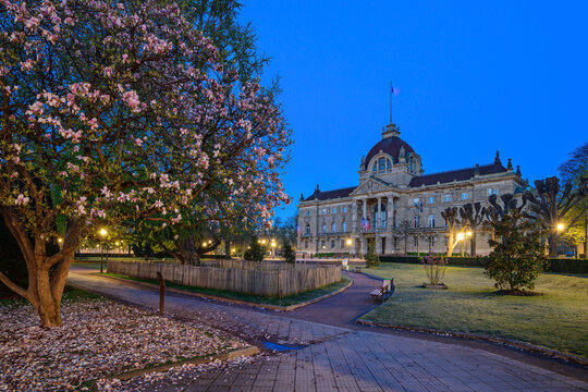 France, Bas-Rhin, Strasbourg,Tree blossoming in front of Palais du Rhin at dusk
