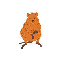 Funny Australian quokka cartoon hand drawn flat vector illustration isolated.