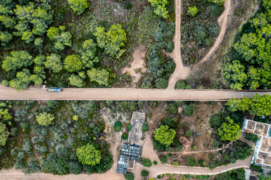 Spain, Balearic Islands, Formentera, Drone view of trees surrounding empty road