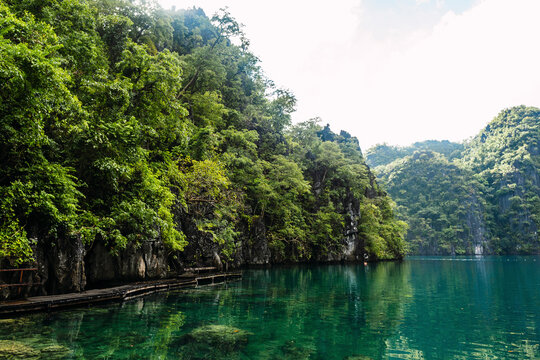 Sea with lush trees at Coron Island in Philippines