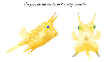 コンゴウフグのイラスト素材セット／Congo puffer illustration material set © yuki_acaraje