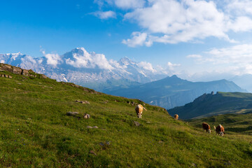 Fototapeta na wymiar Famous Eiger, Monch and Jungfrau mountains in the Jungfrau region