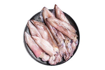 Raw squid, fresh calamari in a plate.  Isolated, transparent background.
