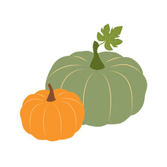 Pumpkin with leaf. Vector illustration of seasonal vegetable. Pumpkins for Thanksgiving, Halloween and autumn harvest.