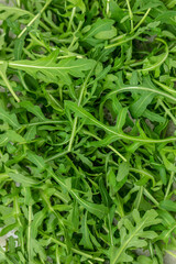 Healthy salad, leaves arugula. Food recipe background. Close up
