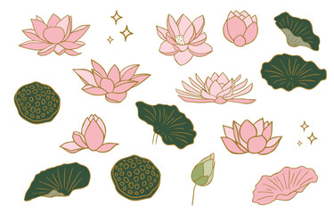 pink lotus object desing for postcard