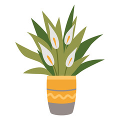 Spathiphyllum, potted house plant, cartoon style. Trendy modern vector illustration isolated on white background, hand drawn, flat design