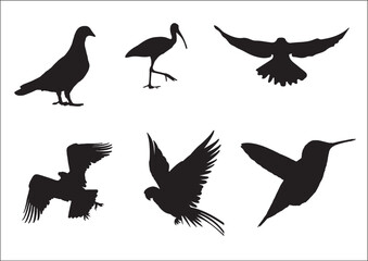 set of silhouettes of birds