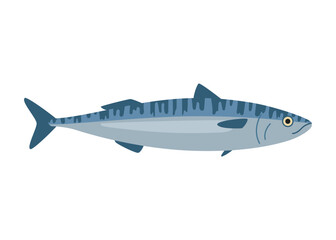 Mackerel, scomber seafood and underwater animal. Water delicacy, gourmet. Fishing. Vector illustration isolated