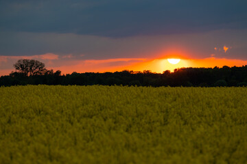 sunset with stormy rainy summer sky, natural end of day in farmland, outdoor rest