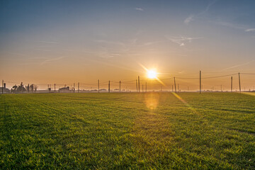 backlighting at sunset in a wheat field in the Po Valley, many electric poles for energy...