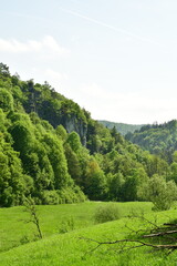 Fototapeta na wymiar Meadow in valley with the hills of franken Germany trees