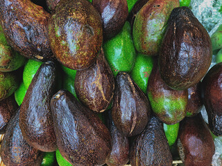 Avocado fresh fruit Farm Organic product sell market 