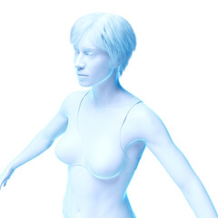 Naklejka premium 3d medical illustration of the female body