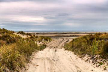 Fototapeta na wymiar Access to a wide sandy beach, right through the dunes