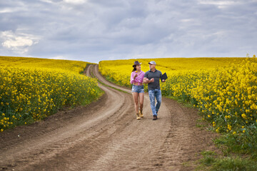 Obraz premium Farmers couple examining canola fields