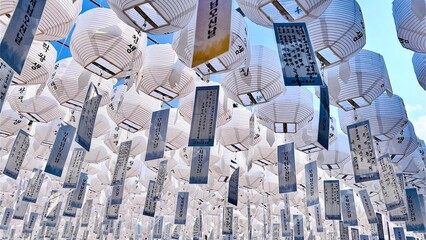 Many white lanterns,lamps are hanging against sky with many texts reflection sunlight,Busan Korea 14 May 2023