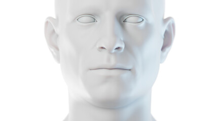 3d medical illustration of the Male body