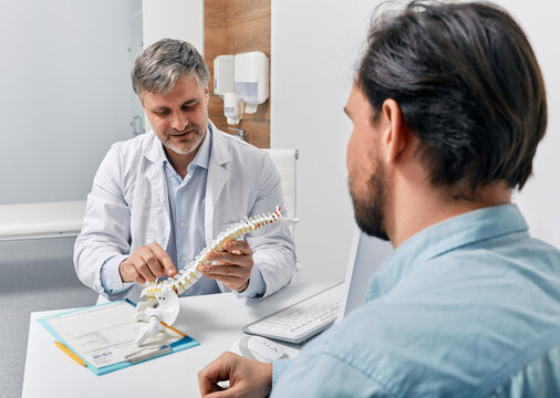 Chiropractor explaining backbone problems using anatomical model of spine to patient while visit to osteopathy clinic. Treatment of spine injuries and disorders