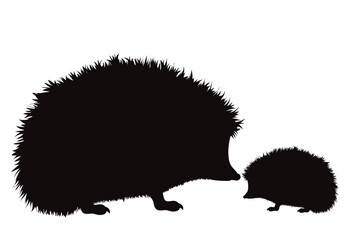 Vector silhouette of family of hedgehog on white background. - 604823308