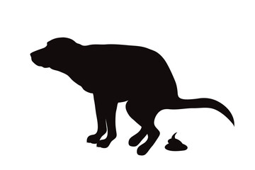 Vector silhouette of pooping dog on white background. - 604823338