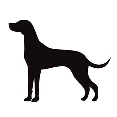 Vector silhouette of dog on white background.