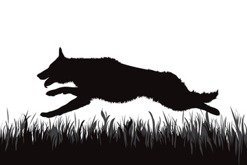 Vector silhouette of jumping dog in the grass in park.