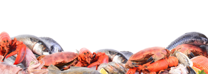 Seafood frame isolated