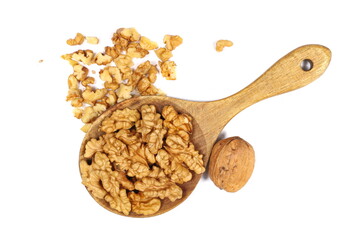 Walnut chopped kernels in wooden spoon, pile isolated on white, top view