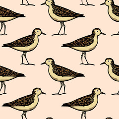 Vector seamless pattern with hand drawn cute plovers made in decorative style on peach background. Beautiful animal design elements, ink drawing. Perfect for prints and patterns