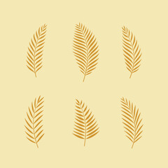Set of palm leaves. Collection of design elements. Vector illustration.