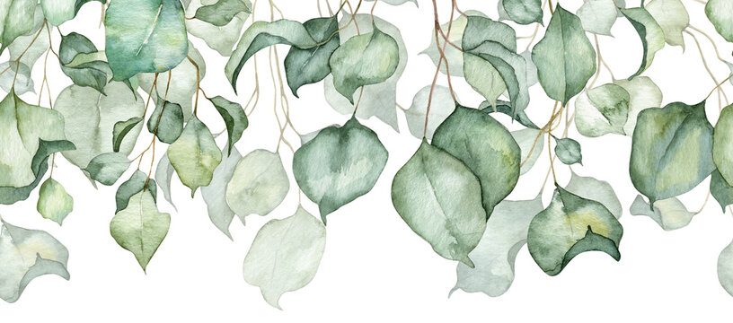 Long seamless banner with green ivy leaves hanging down. Watercolor hand painted botany illustartion for backgrounds, greeting cards