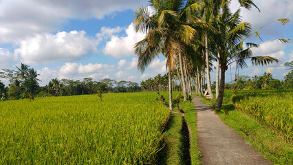 Fototapeta premium beautiful balinese village view