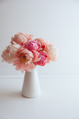 Beautiful bouquet of fresh coral peony flowers in full bloom in vase. Floral still life with blooming peonies. Negative space for text.