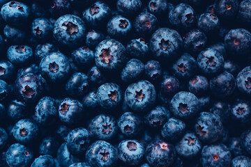Freshly picked great bilberries, view from above. Summer food texture for background.