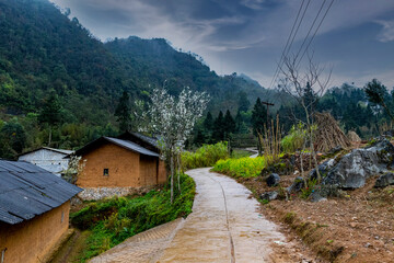 Houses in Dong Van town, Ha Giang province, Vietnam. 