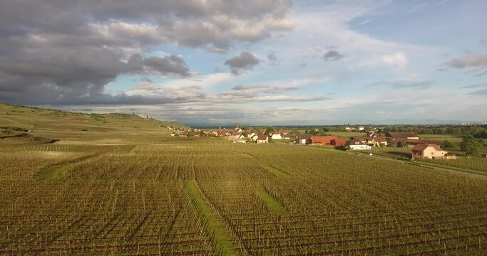 Vignoble dans la vallée de Kaysersberg (Alsace) - 33 secondes - Vidéo drone 4k 088
Vignoble dans la vallée de Kaysersberg (Alsace) - 18 secondes - Vidéo drone 4k 089
Vignoble dans la vallée de Kaysers