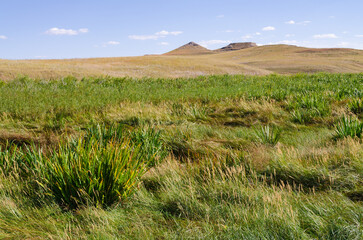 Meadows and Fields at Agate Fossil Beds National Monument