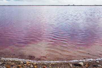 Landscape of the Salins pink coloured salt marshes. The Saltworks of Aigues Mortes in The Camargue. Popular travel destination and tourist attraction in the South of France.
