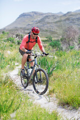Fototapeta na wymiar mountain biker on dirt path