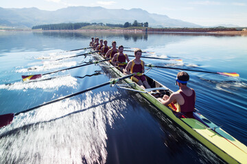 Rowing team rowing scull on lake - obrazy, fototapety, plakaty