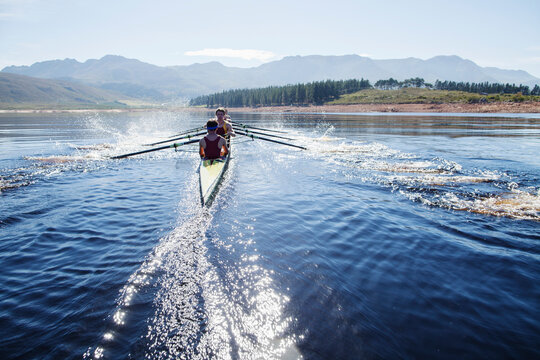 Rowing crew rowing scull on lake - Powered by Adobe