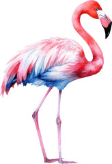 Flamingo bird watercolor illustration. Generative AI