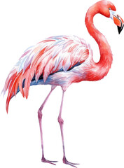 Fototapeta premium Flamingo bird watercolor illustration. Generative AI